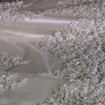 Tessuto Rebrode Ricamato 002 Bianco in Poliestere
