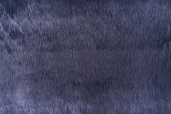 Tissu Bleu en Coton, Polyester pour vêtements