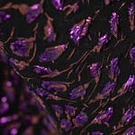 Purple and black floral brocade fabric | new tess