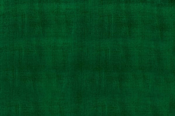Tessuto Velluto Se/Viscosa 015 Verde per Abbigliamento