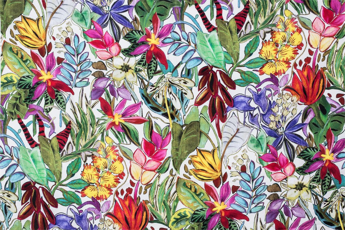 TROPICALE<br />001 Panna