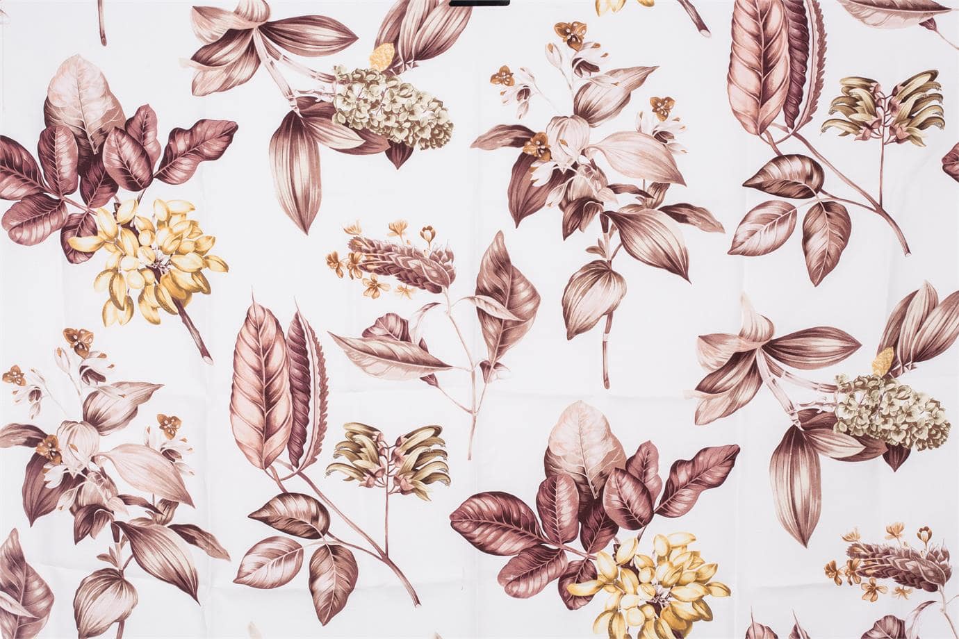 BOTANICO<br />003 Cipria