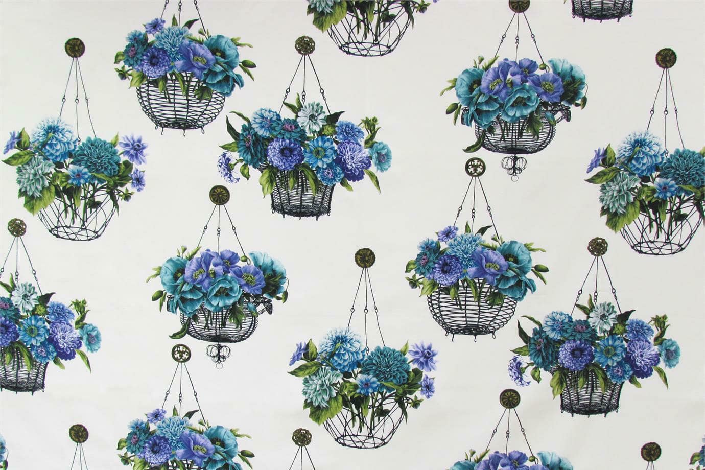 ANEMONE<br />002 Glicine