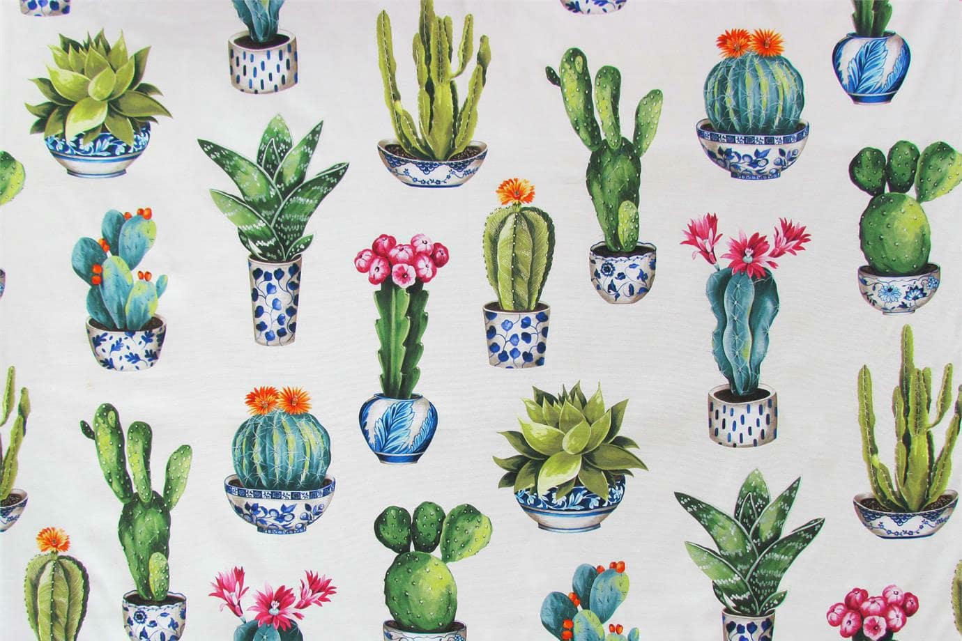 TEXAS<br />001 Avorio