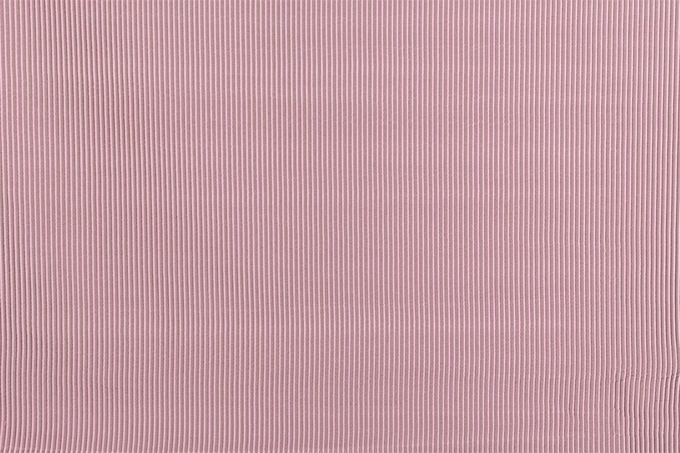 GIANDUJA<br />003 Camelia