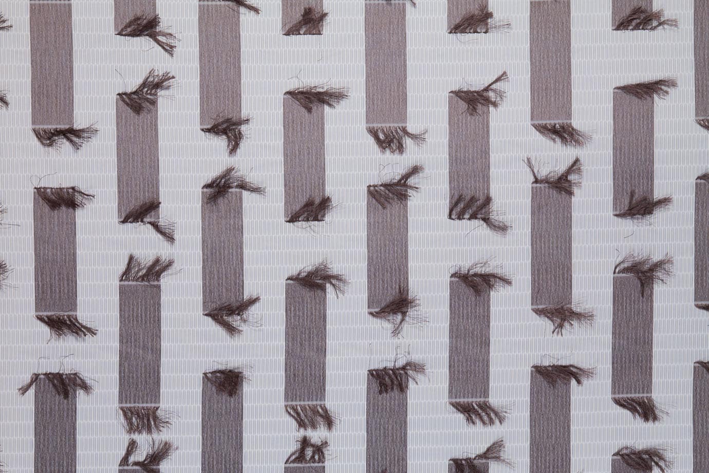 VENTIQUATTRO 003 Latte-castagna