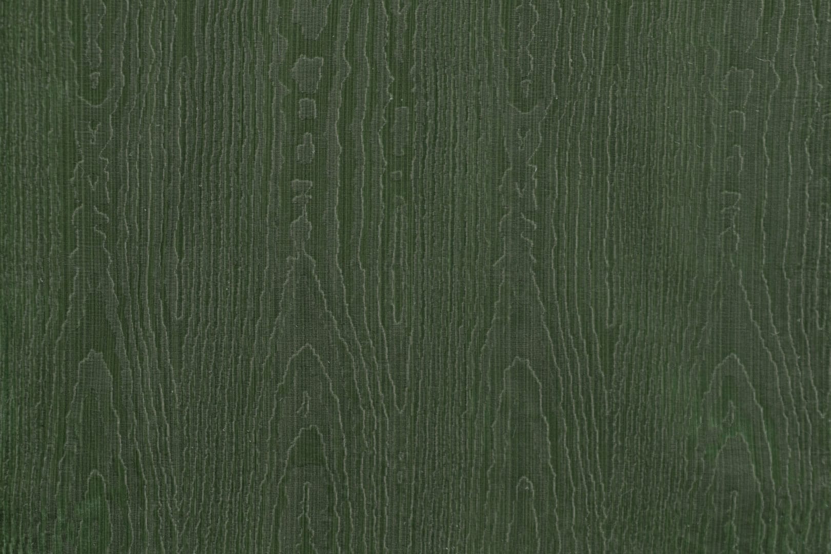 Tissu d'ameublement DRAGONFLY 004 Verde