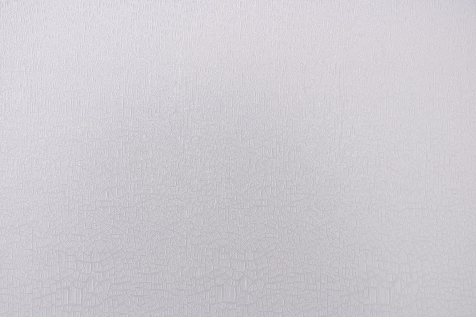 J2098 VENTI 001 Latte