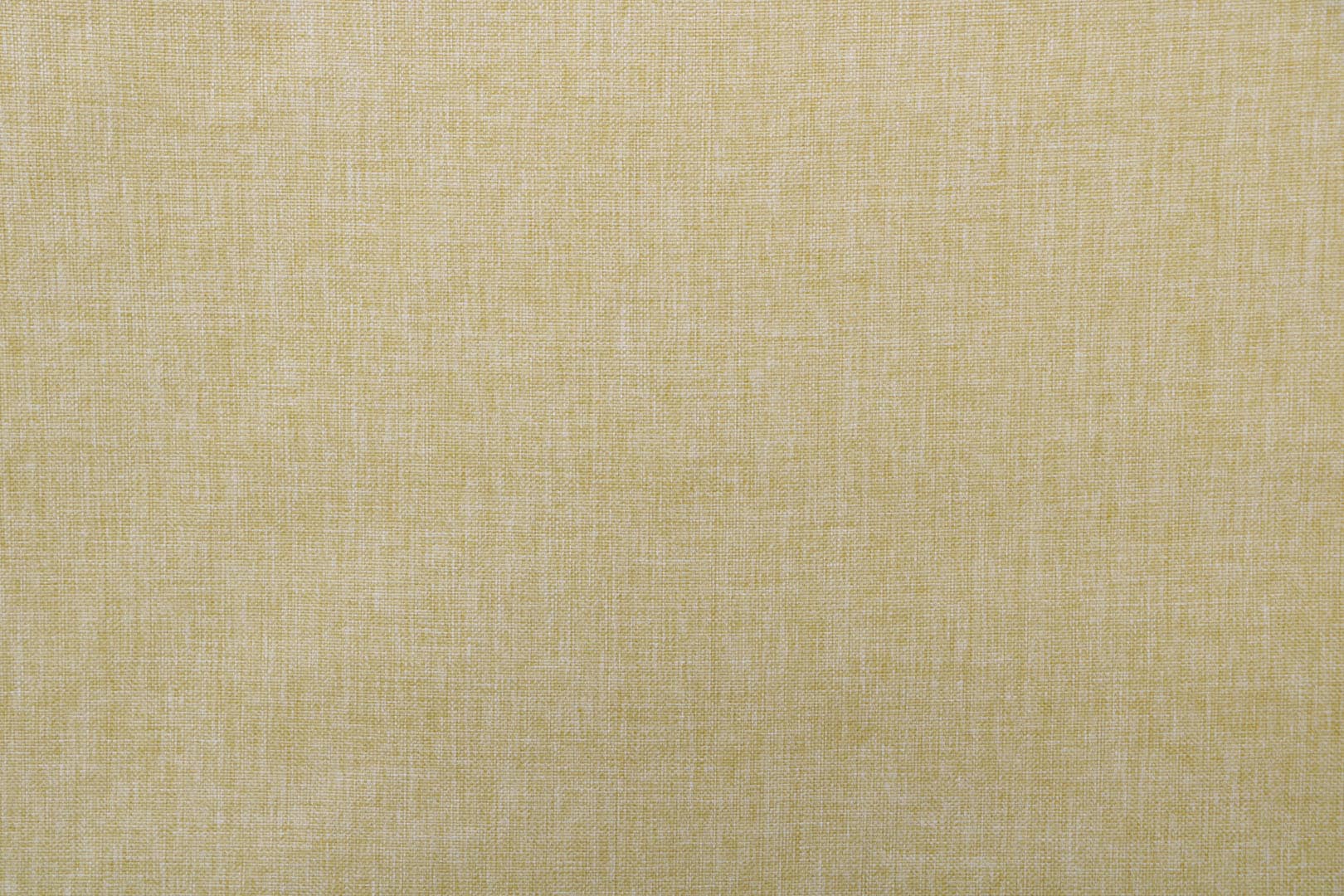 J3126 LEONE 003 Limone