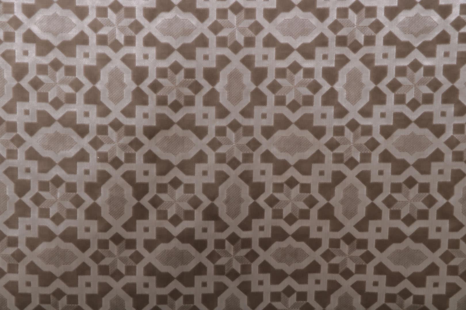 AC115 PEGASO 001 Deserto