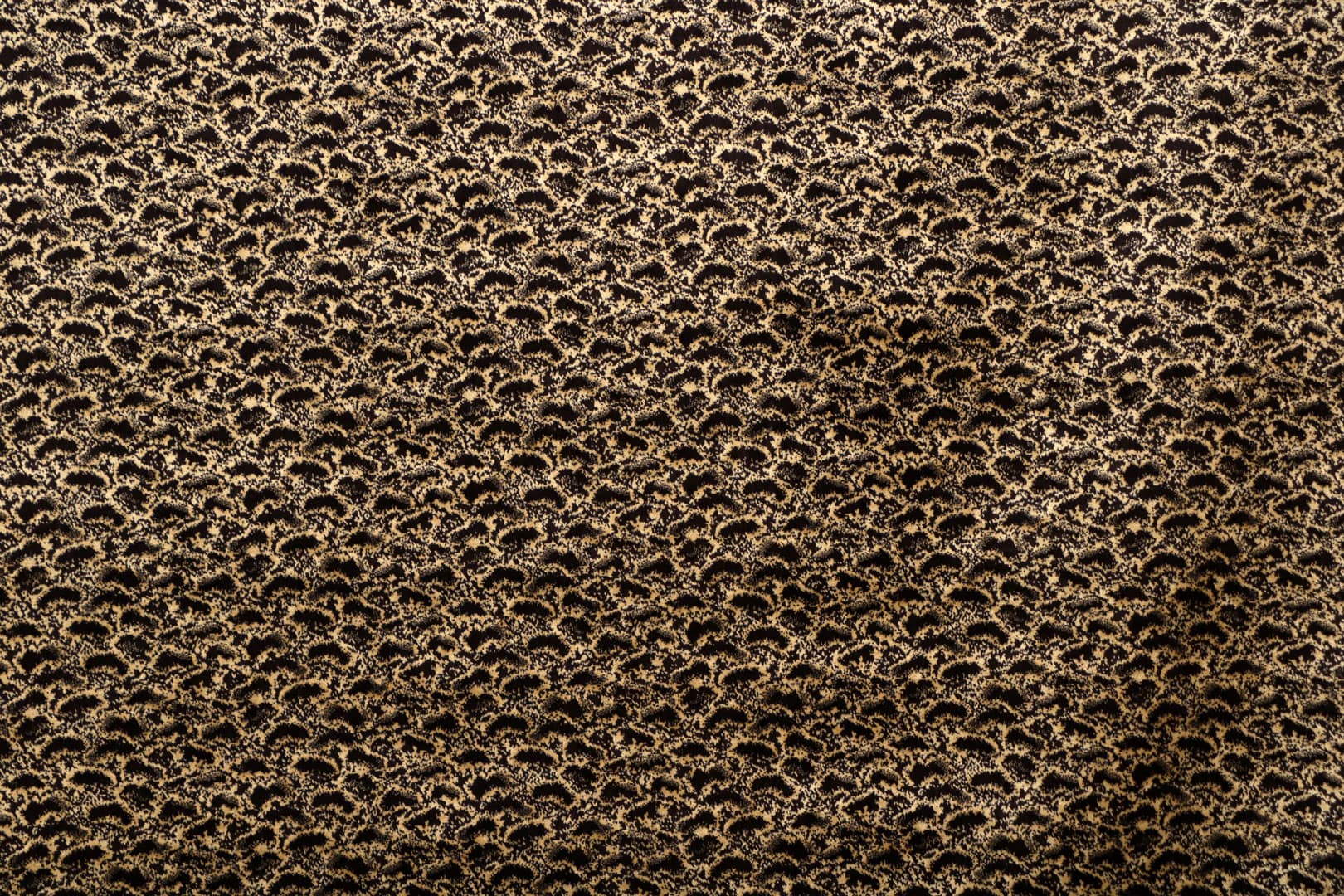 J2212EAM QUATTORDICI 001 Marrone-oro