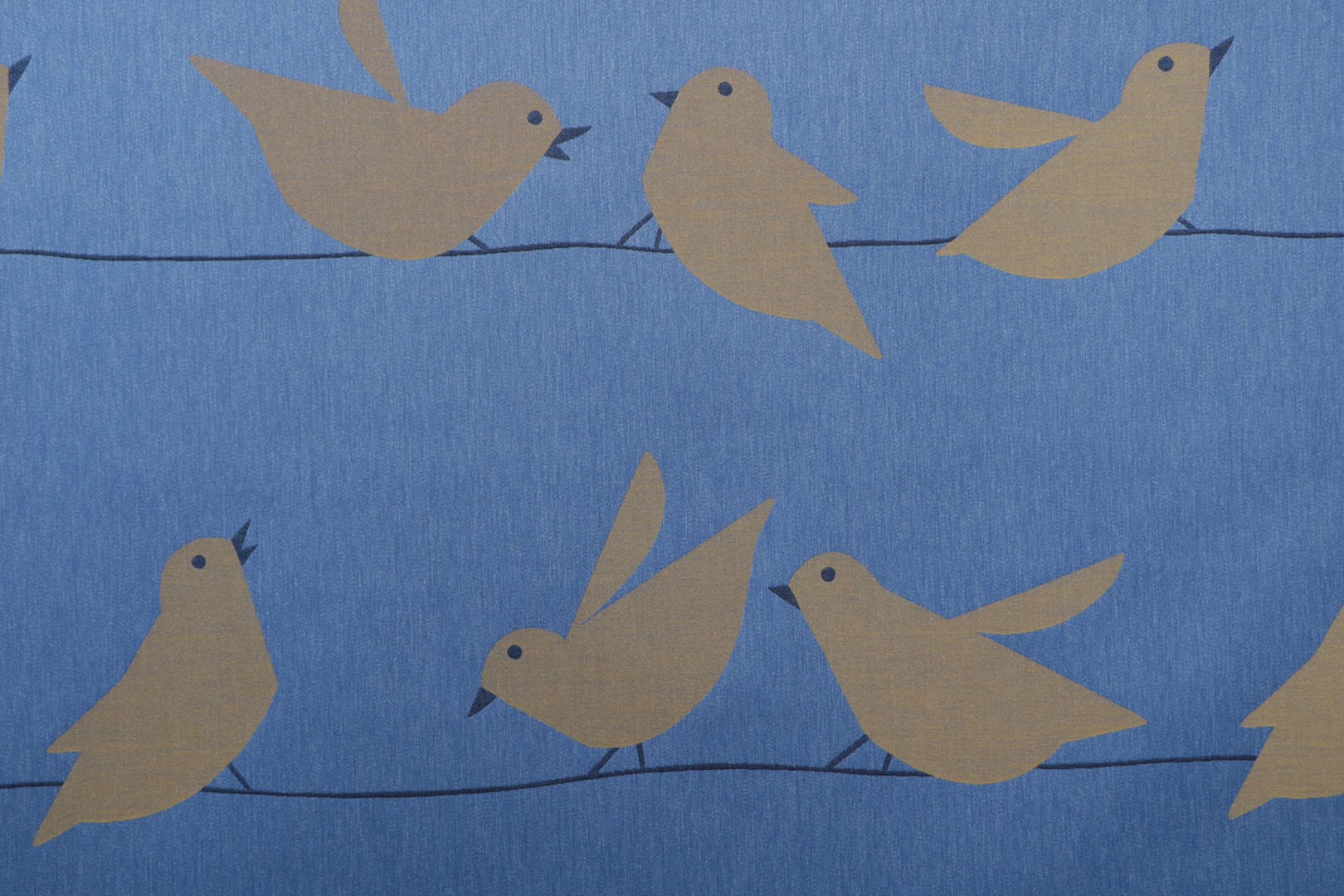 CIP CIP<br />003 Blu