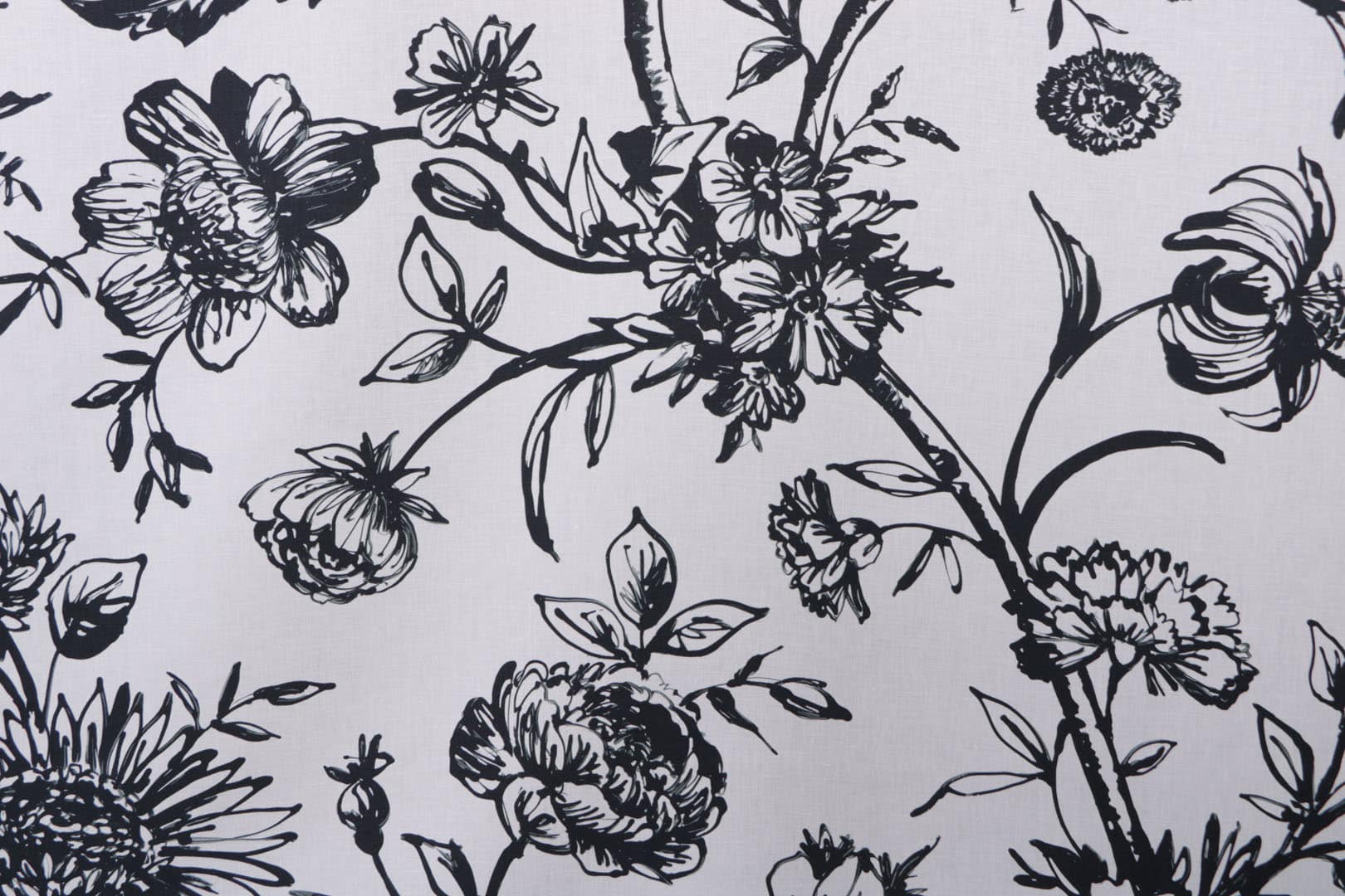 AK0810 MIRANDOLINA 001 Bianco-nero