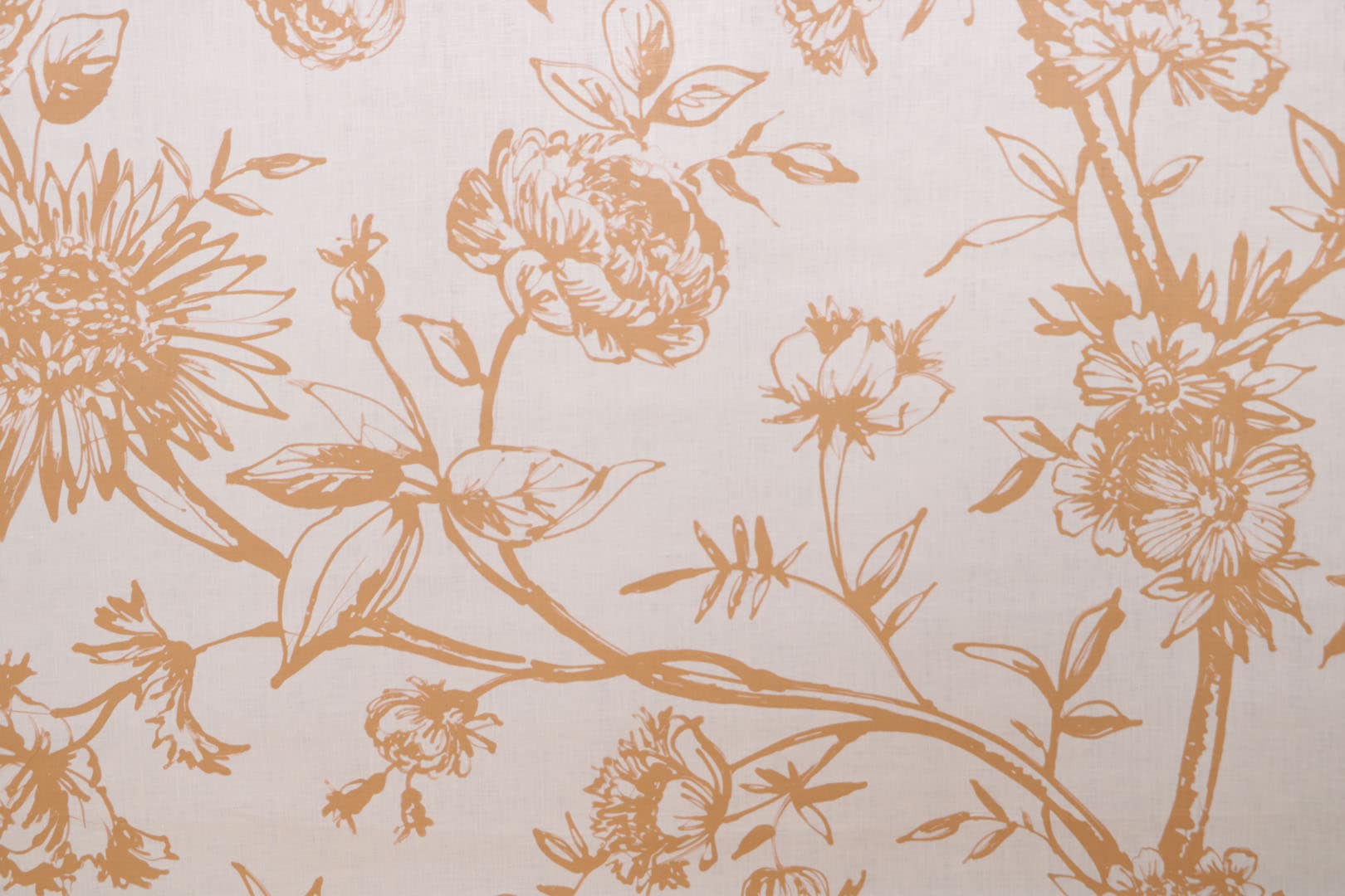 AK0810 MIRANDOLINA 003 Ecru-cammello