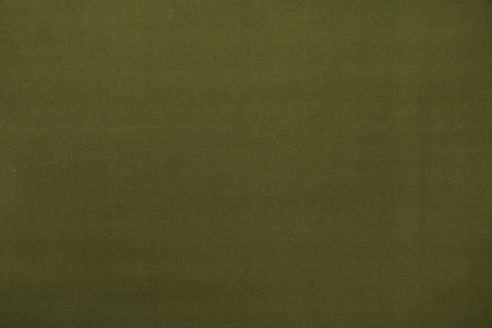 AC116 ORIONE 007 Giada