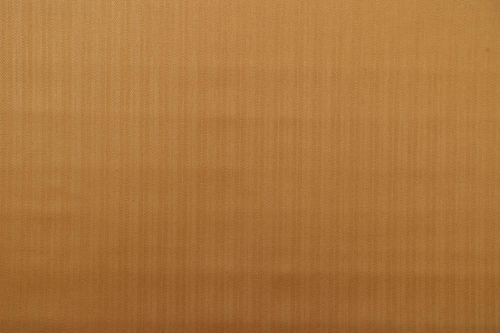 BR019 CHEVRON 020 Ocre