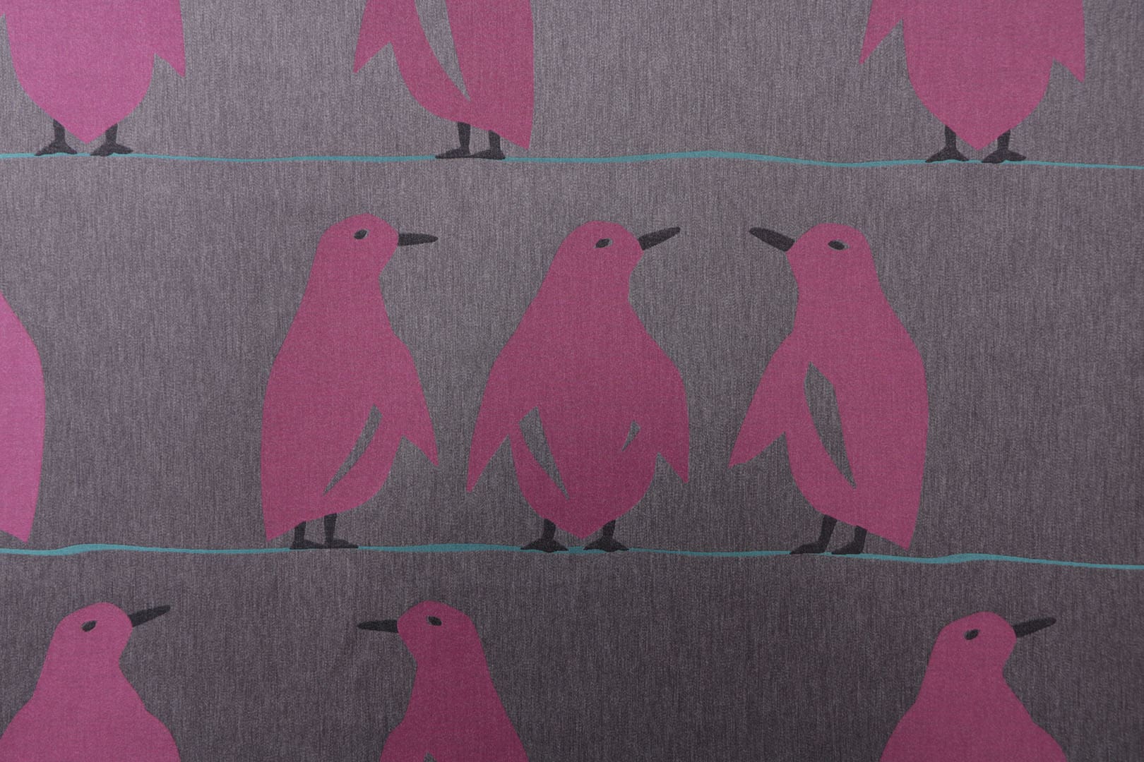 J2503 PINGUINO 002 Grigio