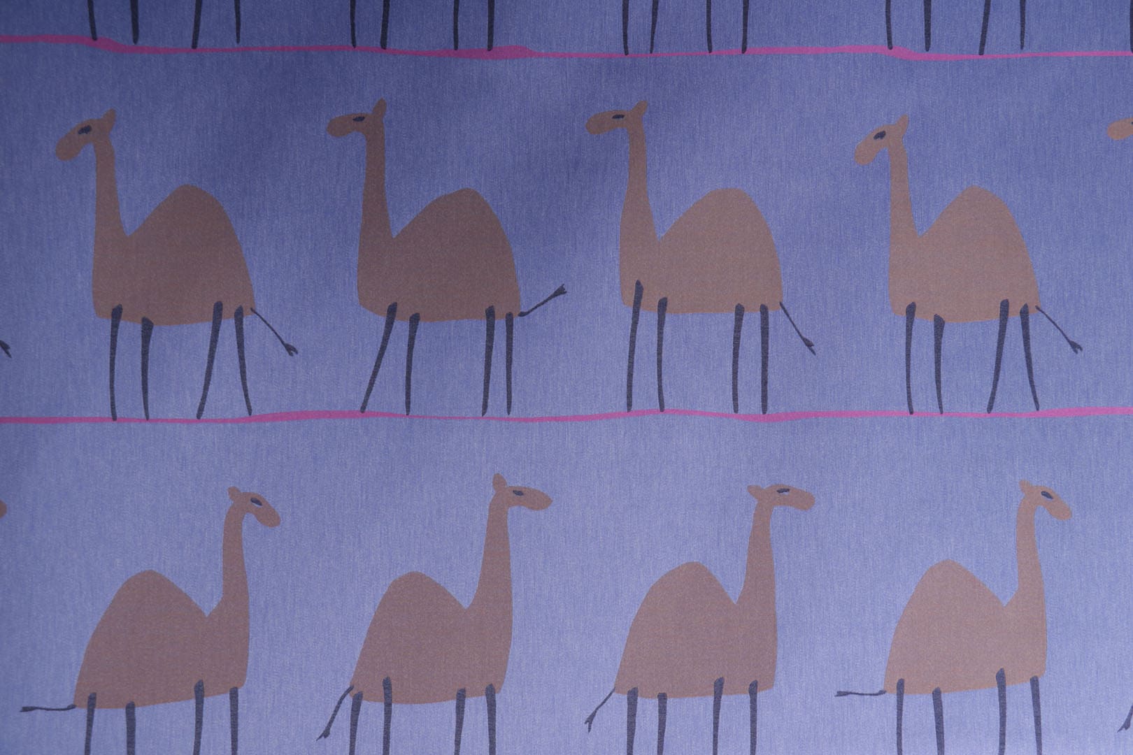 CAMMELLO<br />002 Blu