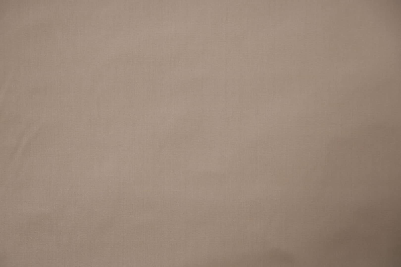 POGGIOREALE<br />007 Talpa