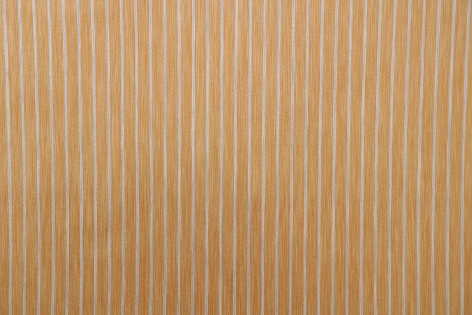 TF0536 CYPRAEA 001 Topazio