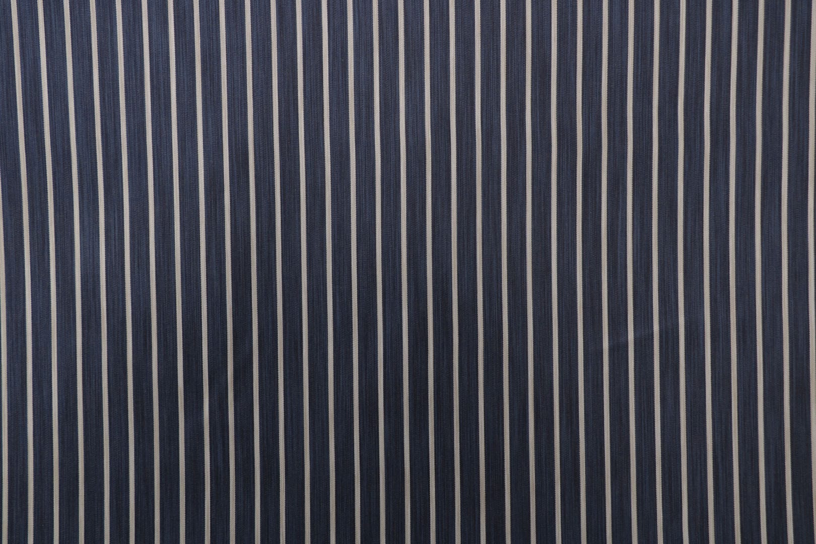 TF0536 CYPRAEA 006 Blu