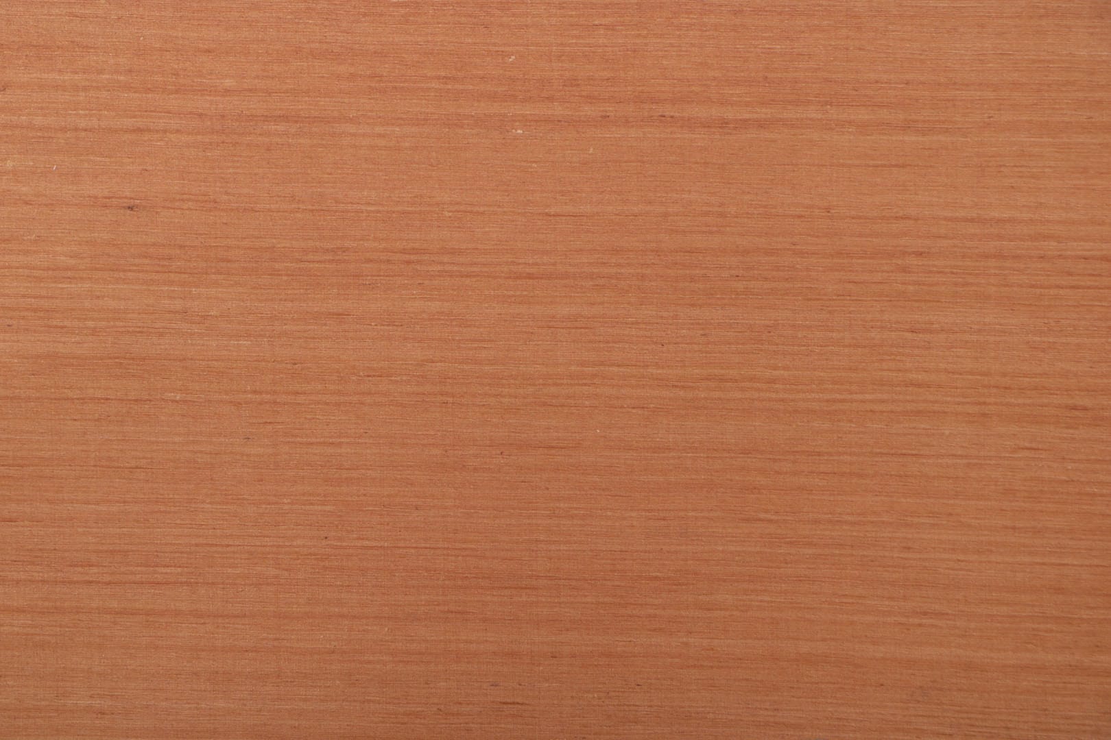 BUCINTORO<br />004 Biscotto