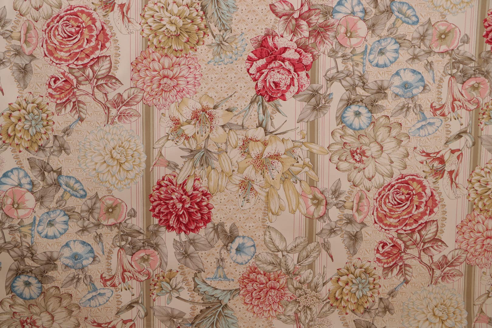 BOLGHERI 003 Sughero