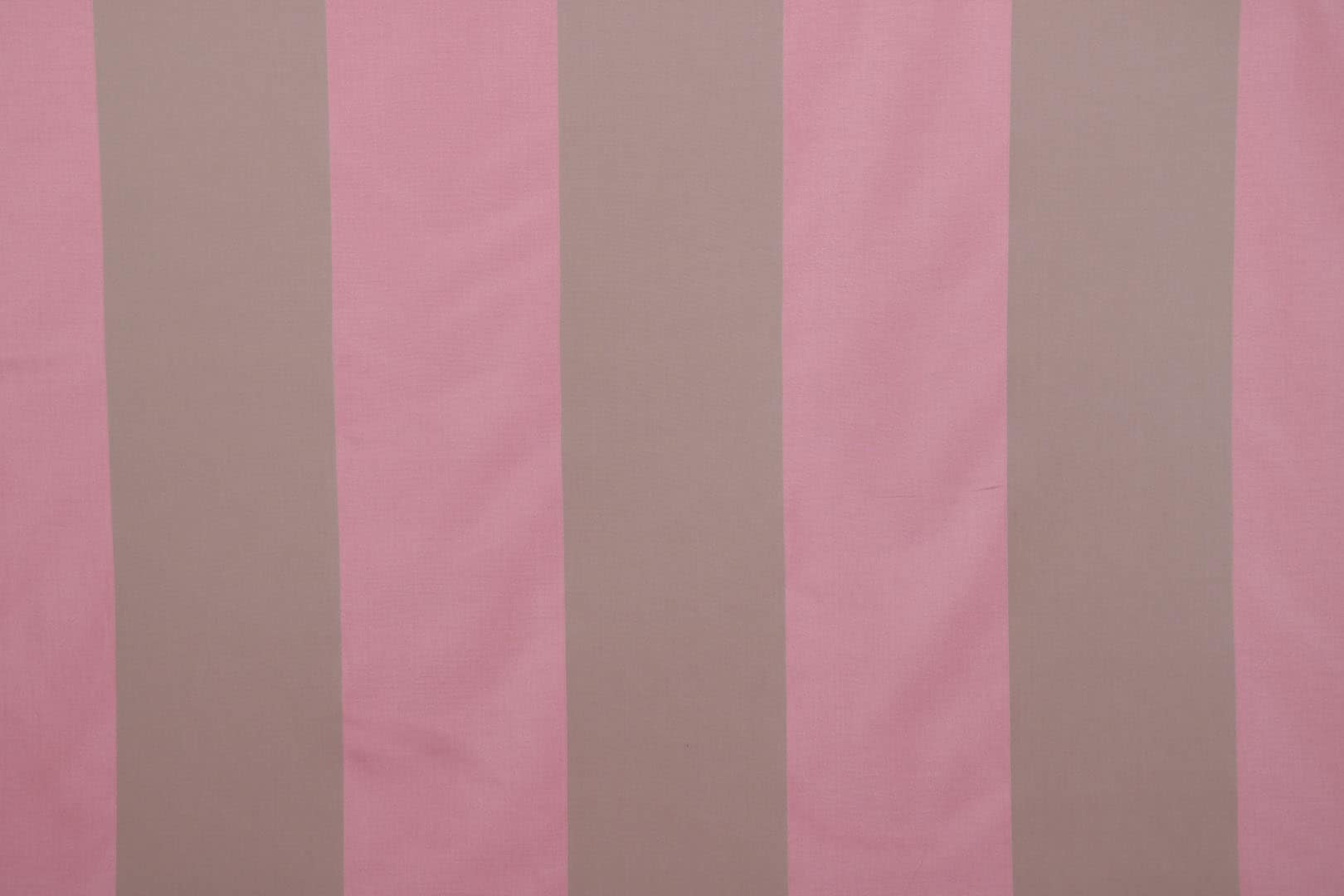 MACRO 003 Peonia sacco