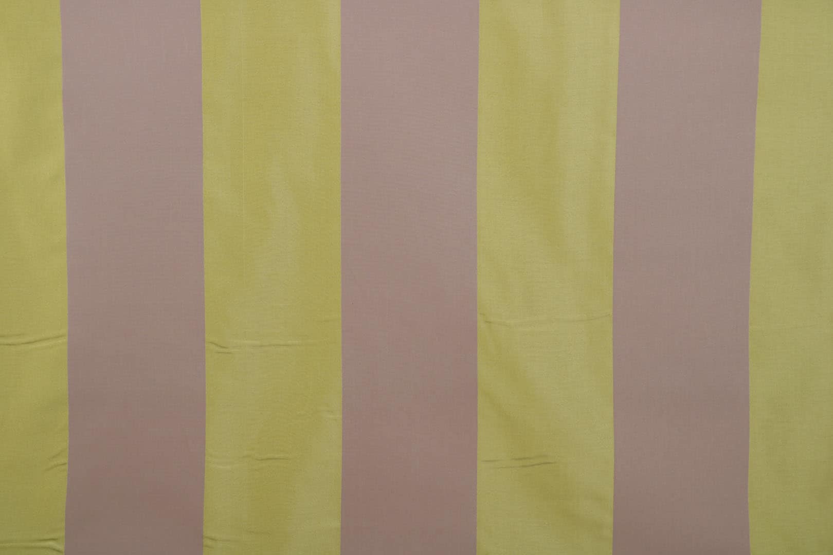 MACRO 005 Cedro sacco