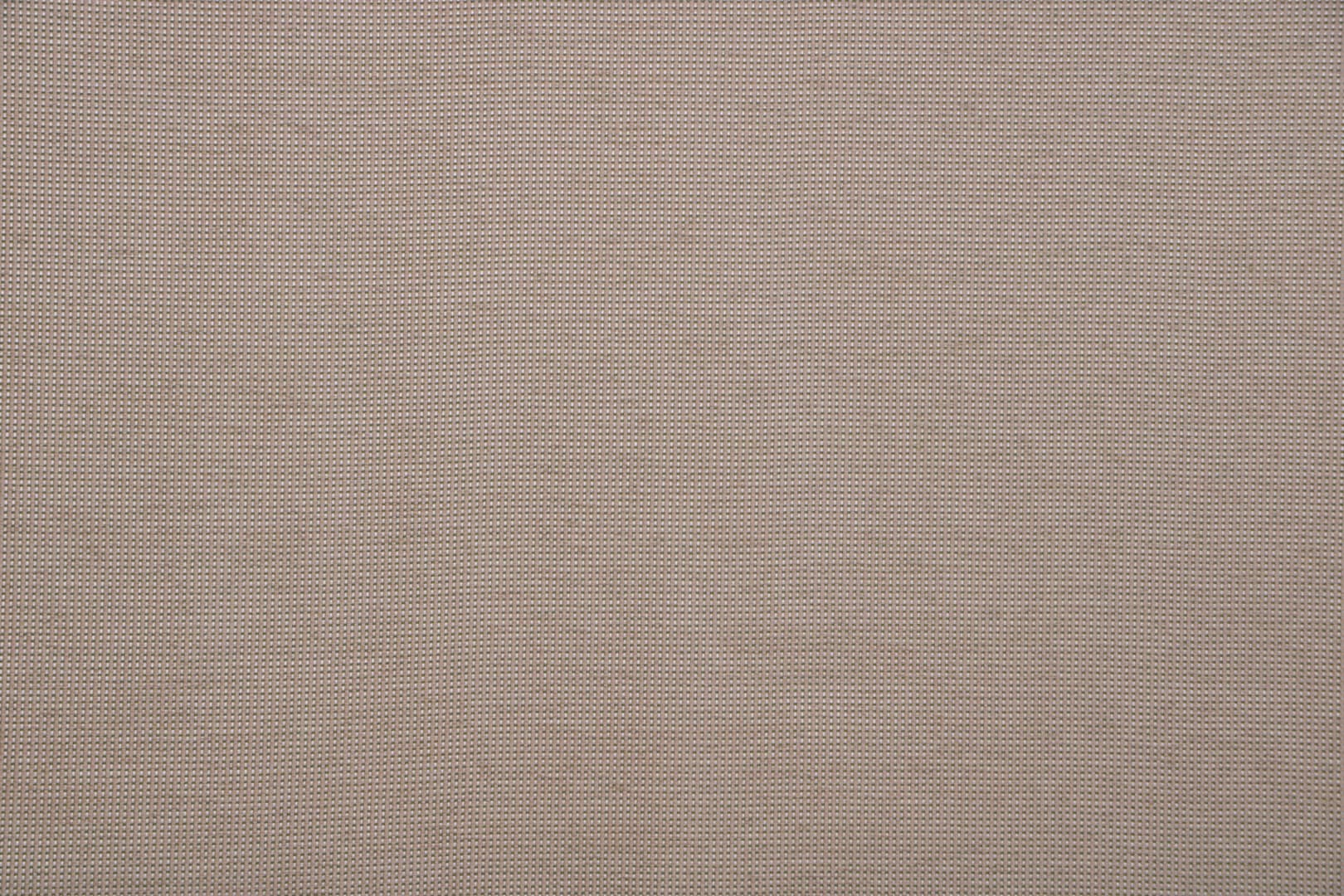 MINI 005 Avorio clorofilla