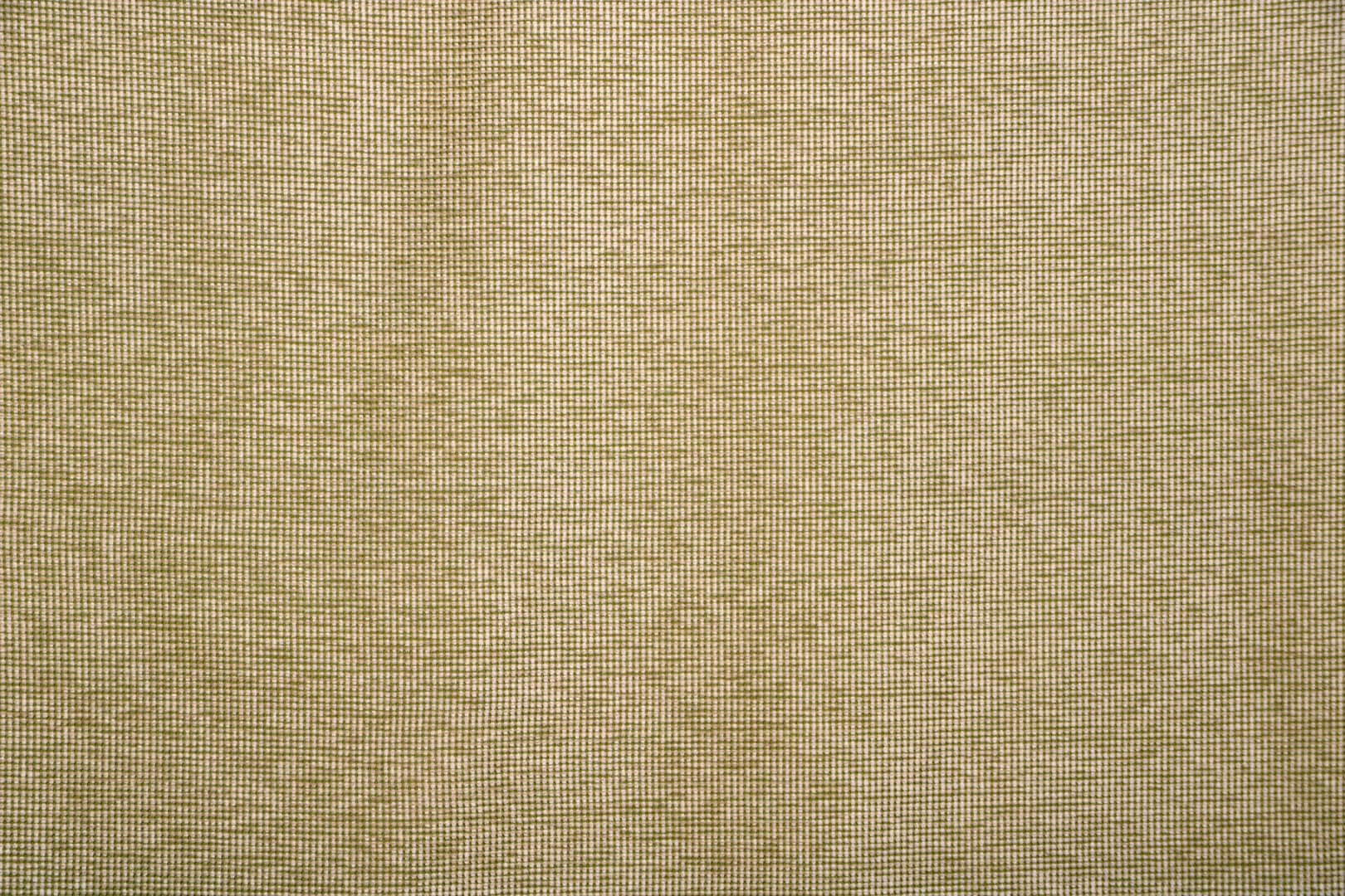 MINI 006 Clorofilla e avorio