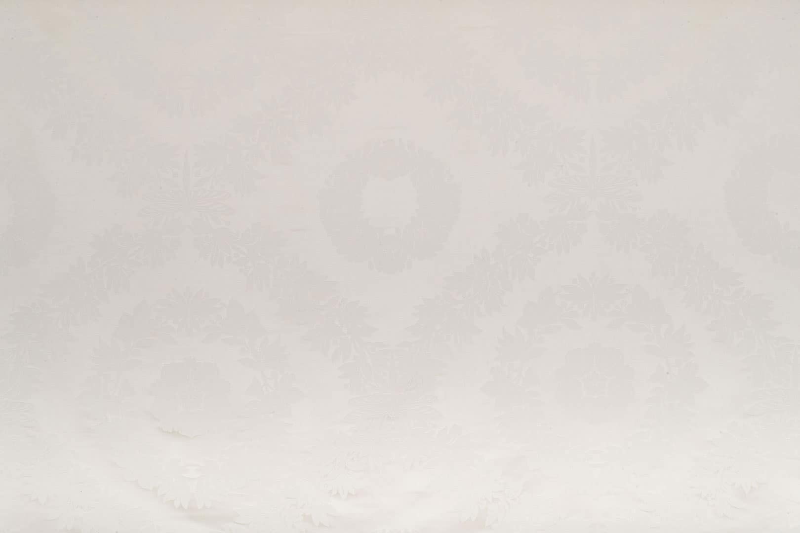 DRAGONFLY<br />001 Avorio