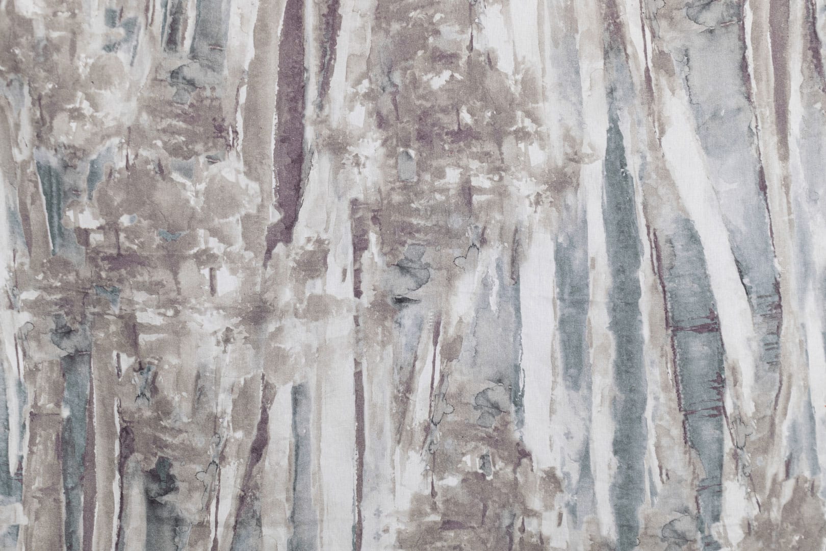 BOULEAU<br />002 Tortora