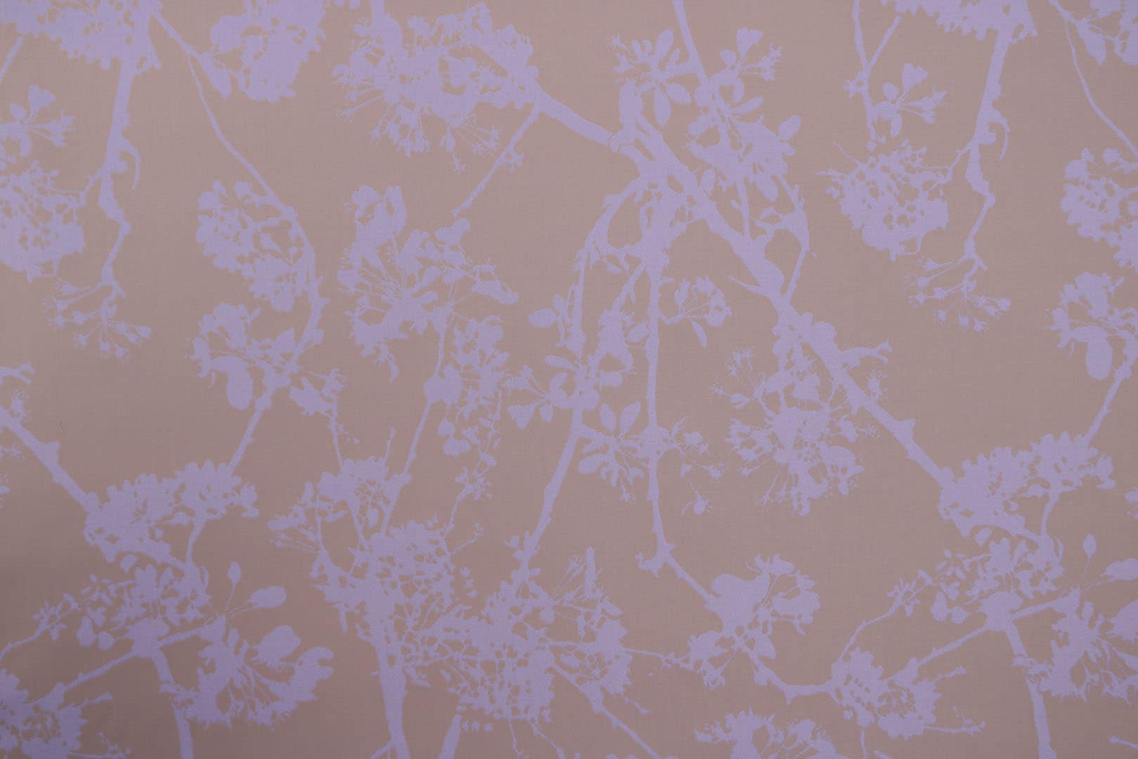 CLOROFILLA 002 Lavanda sacco