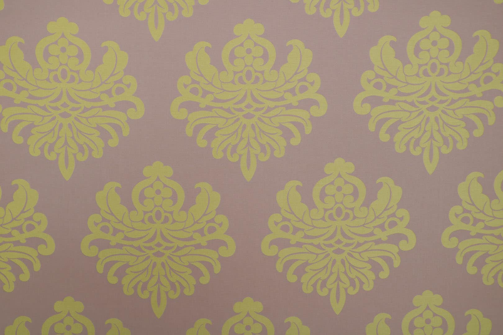 ALLEGRO 005 Cedro sacco