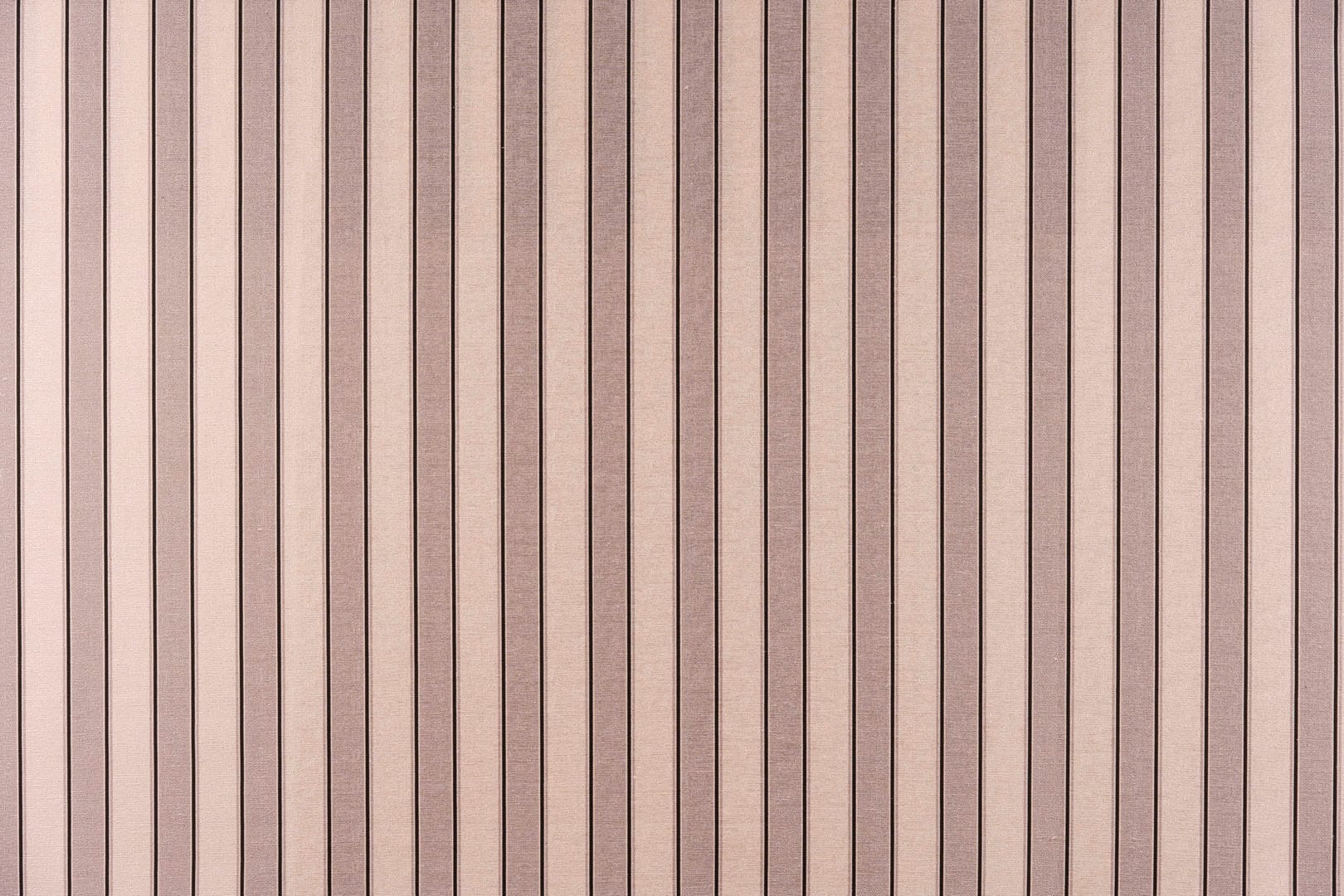 GOLDA<br />006 Perla