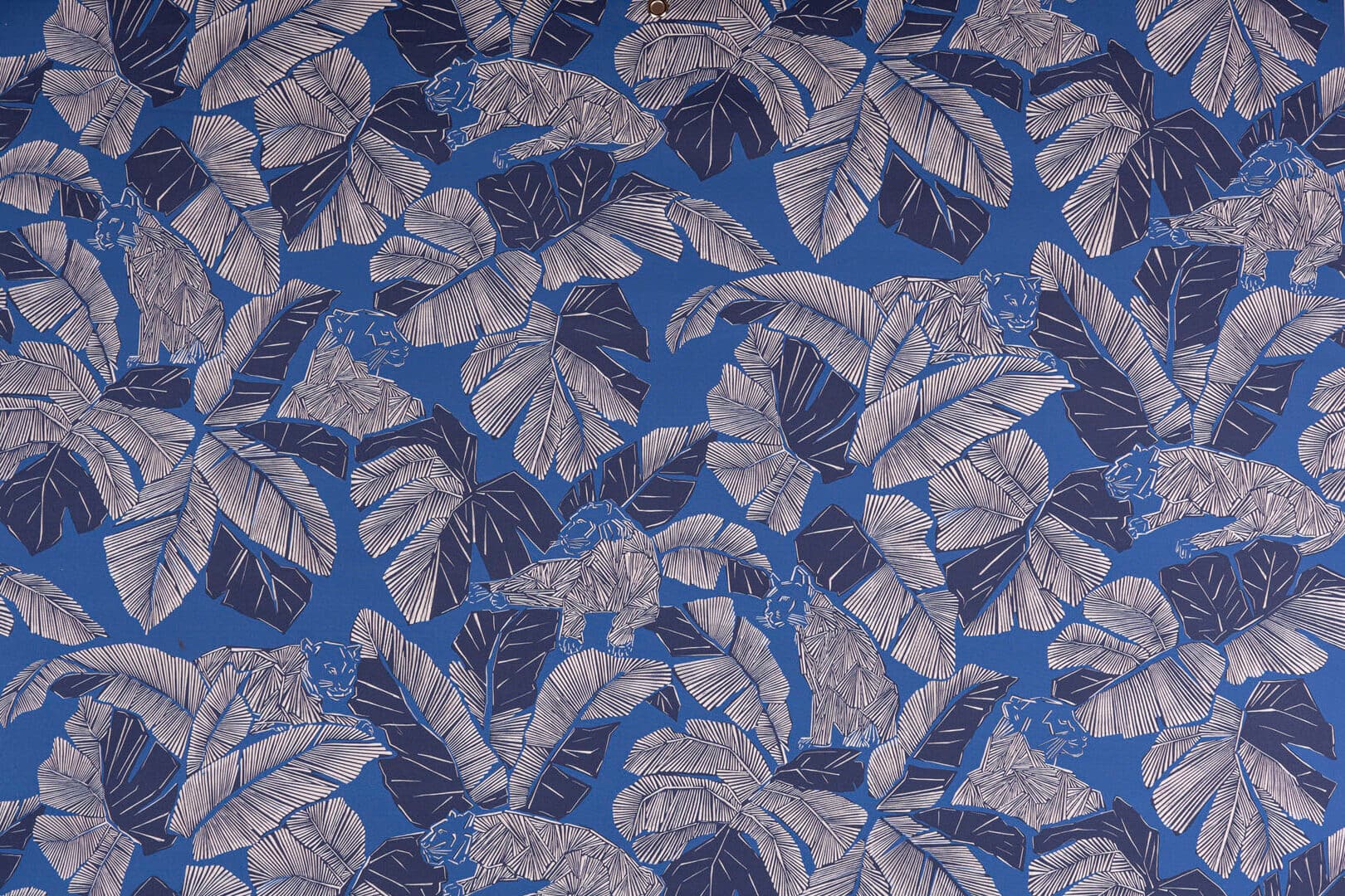 INDIRA<br />002 Bluette