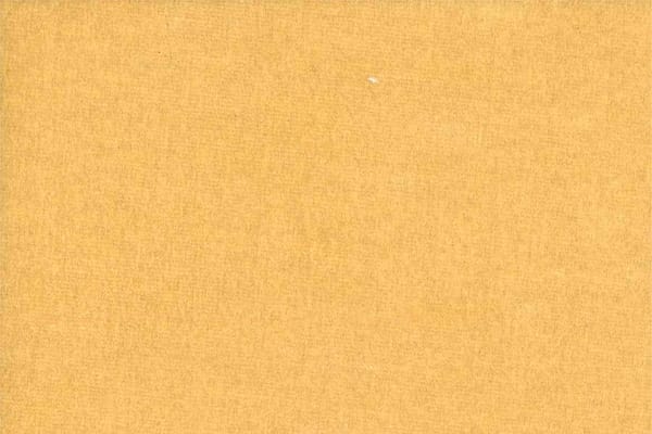 LEONIDA<br />004 Avena