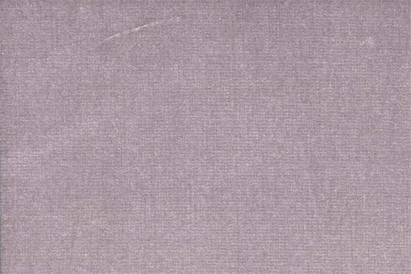 LEONIDA<br />011 Nebbia