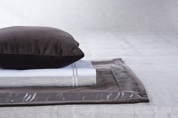 LEONIDA<br />011 Nebbia