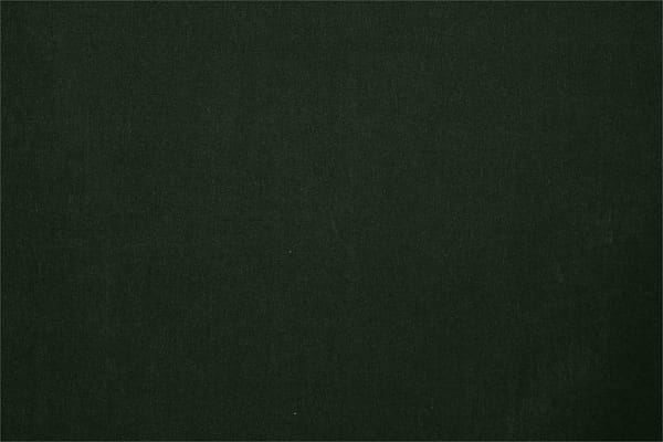 FENICE010 Coccodrillo