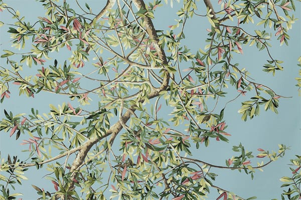 ULIVO<br />001 Azzurro ch