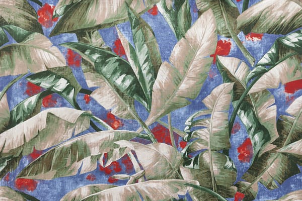 DUCA002 Carta zucchero