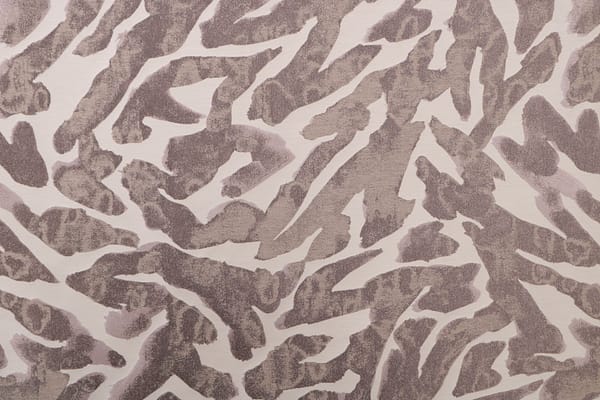 BURLAMACCO004 Tortora