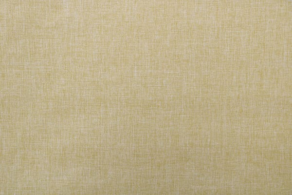 LEONE<br />003 Limone