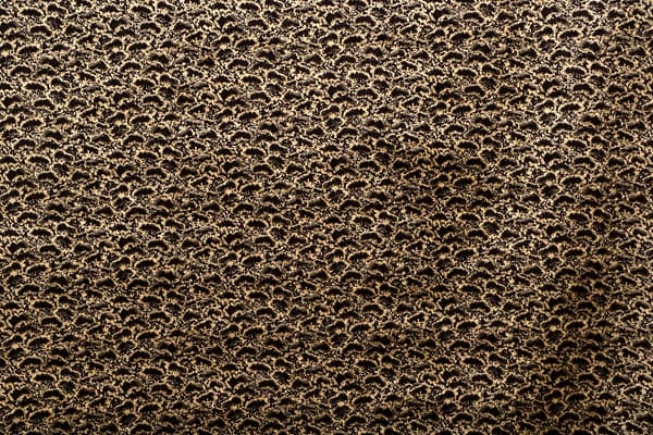 QUATTORDICI001 Marrone-oro