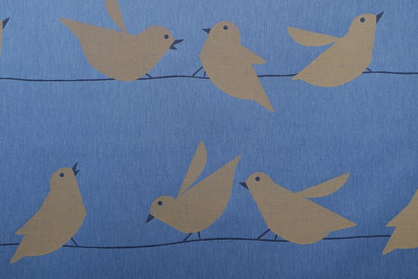 CIP CIP<br />003 Blu