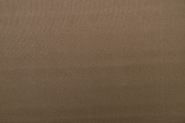 UCCIARDONE003 Cammello