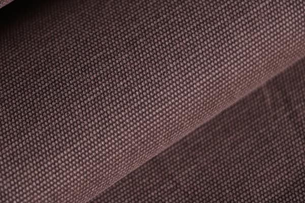 UCCIARDONE011 Corteccia