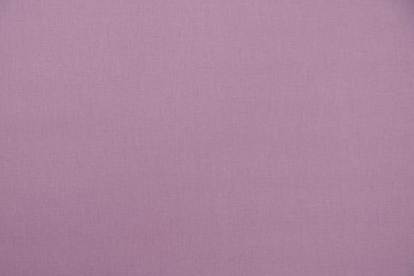 UCCIARDONE027 Glicine